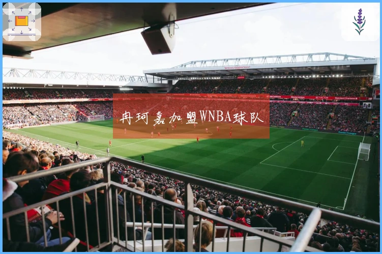 冉珂嘉加盟WNBA球队