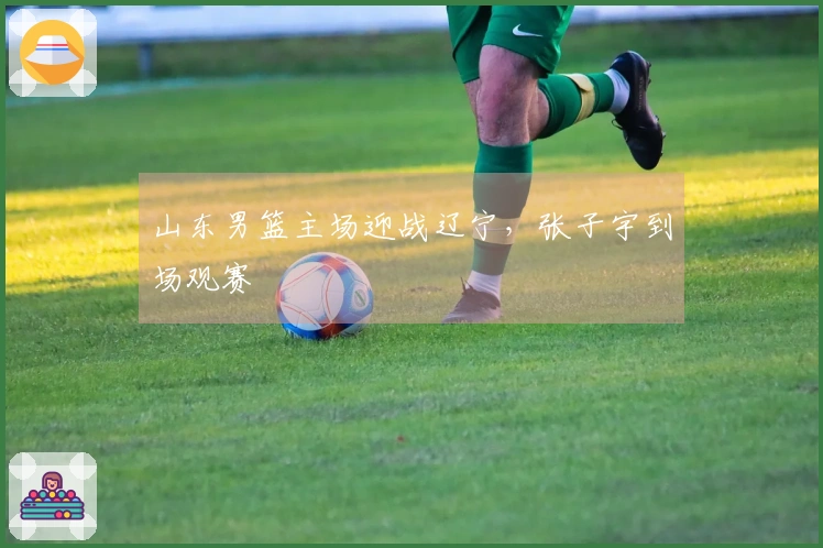 山东男篮主场迎战辽宁，张子宇到场观赛